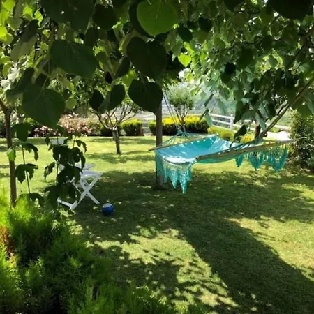 Sunrise Villa Tirana
